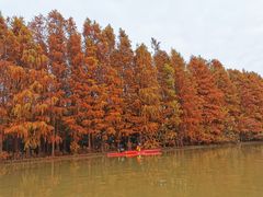 -上海海湾国家森林公园