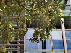 -中国移动南方基地