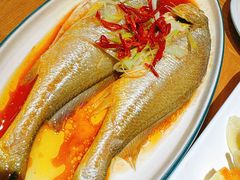 -波螺油子青岛本帮菜(银座店)