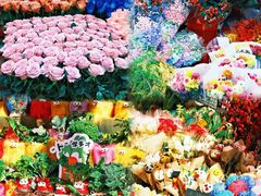 -越秀西湖花市(广州城市广场花卉店)