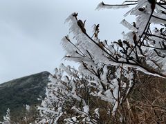 -金子山原生态旅游风景区