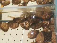 -渔港明珠酒店(星海广场店)