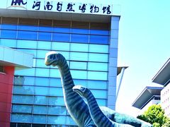 -河南自然博物馆