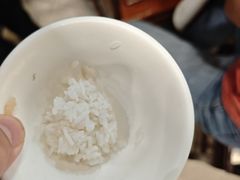 -华南师范大学石牌校区陶园