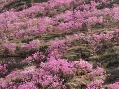 -青岛大珠山景区