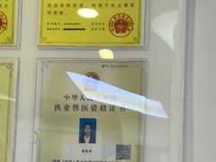 -芭比堂动物医院·心脏科·老年急重症·夜诊·吉雅分院