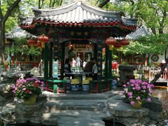 -白家大院·王府宫廷菜(苏州街店)