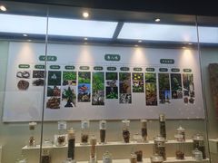 -广东中医药博物馆