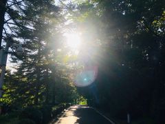 -棒棰岛宾馆景区