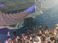 -烟台海昌鲸鲨海洋公园