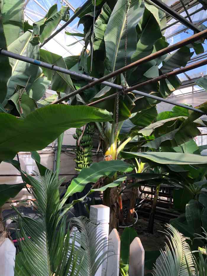 doctype html> html lang="zh-cn"> head> meta