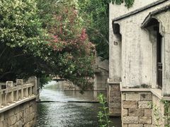 -鹅湖玫瑰文化园