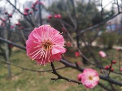 -山东大学(趵突泉校区)