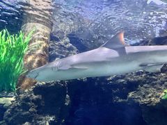 -郑州海洋馆