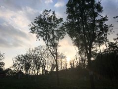 -白鹭湾湿地公园