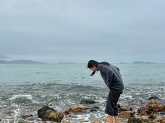-杨梅坑