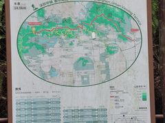 -阿婉贵州苗家酸汤鱼(梅林店)