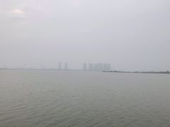 -瑶湖郊野森林公园