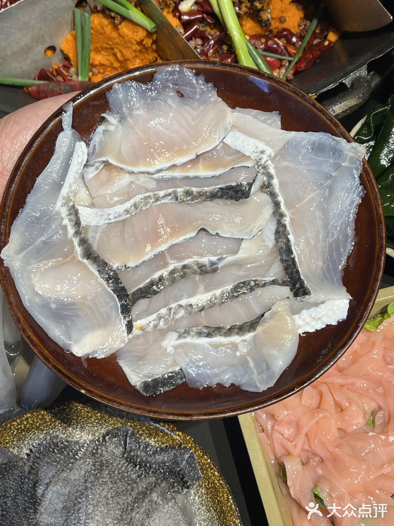 一边吃火锅，一边撸猫是种什么体验！