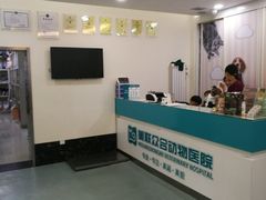 -美联众合爱康动物医院•复杂内科•肿瘤科•牙科•腔镜诊疗中心