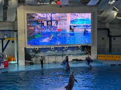 -合肥海洋世界