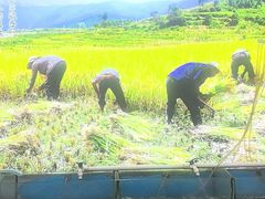 -湖南人家湘菜馆(镇江路店)