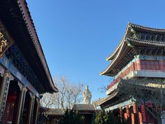 -天津妈祖文化园