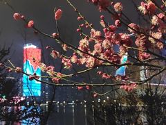 -天鹅湖体育公园