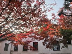 -无锡丽笙精选酒店