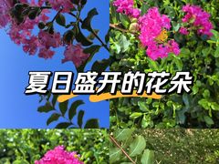 -龙头寺公园
