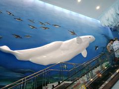 -芜湖新华联大白鲸海洋公园