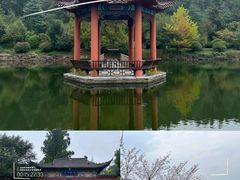 -冶父山国家森林公园