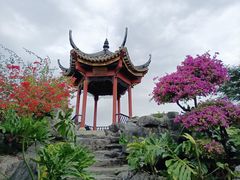 -顺峰山公园