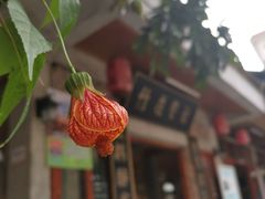 -竹庄餐馆·26年店(南昆山景区店)