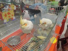 -丽达购物中心(崂山店)