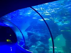 -左海海底世界
