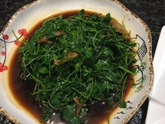 蚌肉金花菜-老苏州芳和园茶酒楼  传统苏帮菜(观前店)