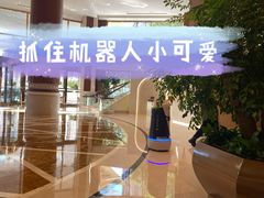 -上海圣淘沙万怡酒店