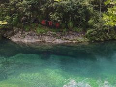 -石台牯牛降景区