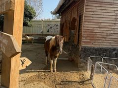 -HERRE·FARM 赫尔露营农场·团建聚会包场