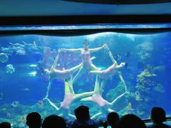 -大明湖海底世界