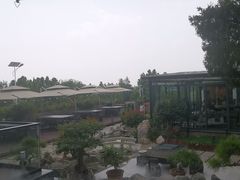 -蘇河湾·新鲁菜·泰山宴(泰山店)