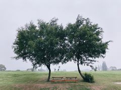 -良渚古城遗址公园