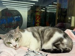 -谜盒子奇幻密室(南屏店)