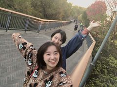 -金鸡山公园