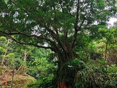 -飞霞风景名胜区