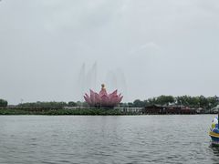 -白洋淀景区
