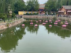 -泰谷里·Thai SPA·泰式抓龙筋