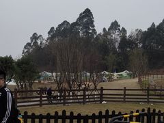 -黄龙溪欢乐田园