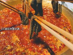 鲜毛肚-巴蜀大宅门火锅(北大街店)